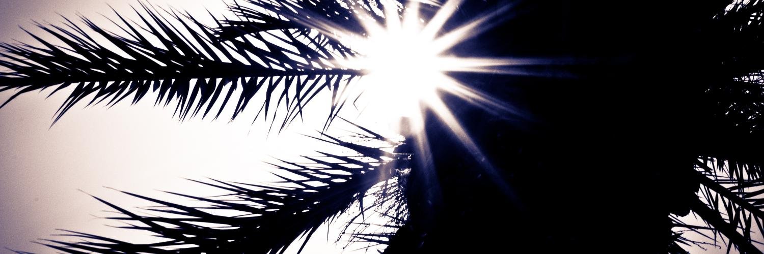 cupofmon's profile banner image