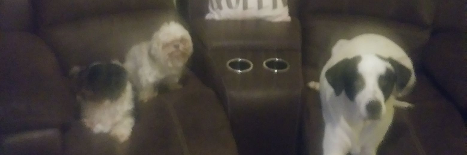 MikesCode's profile banner image