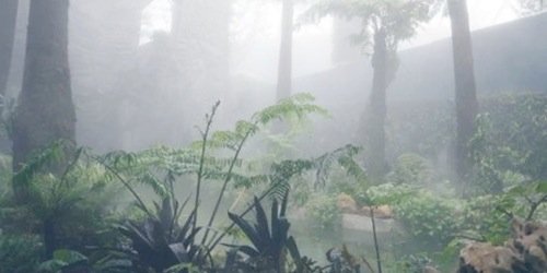occalumgdr's profile banner image