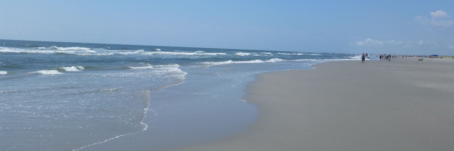 The Cluck 🇺🇲 banner