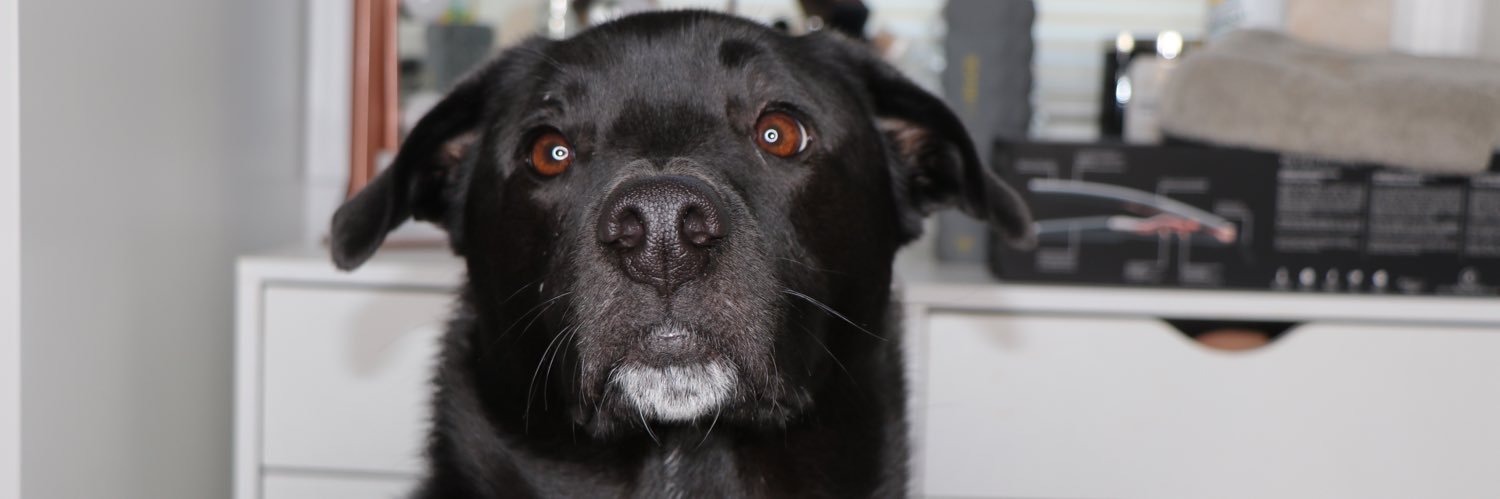 BriCutter's profile banner image
