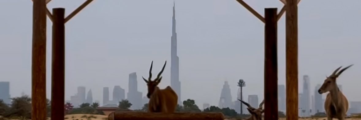 khaled_dxb's profile banner image