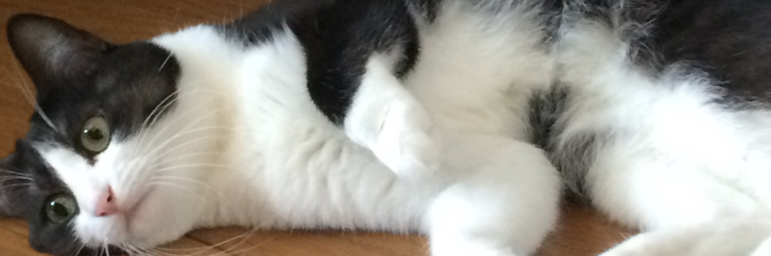 gigardenlic's profile banner image