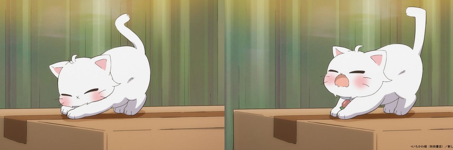 rollcups's profile banner image
