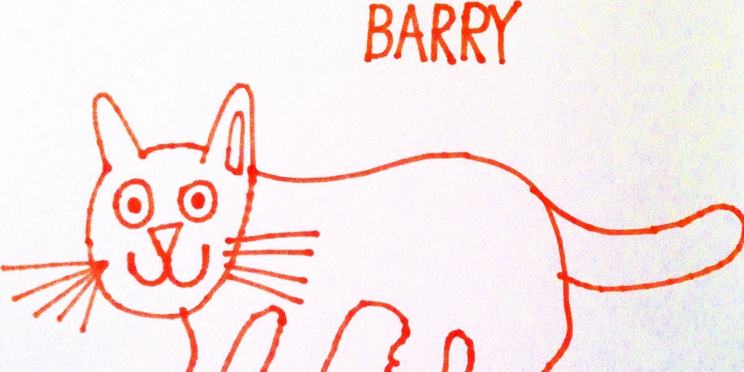 TheBarryCat's profile banner image