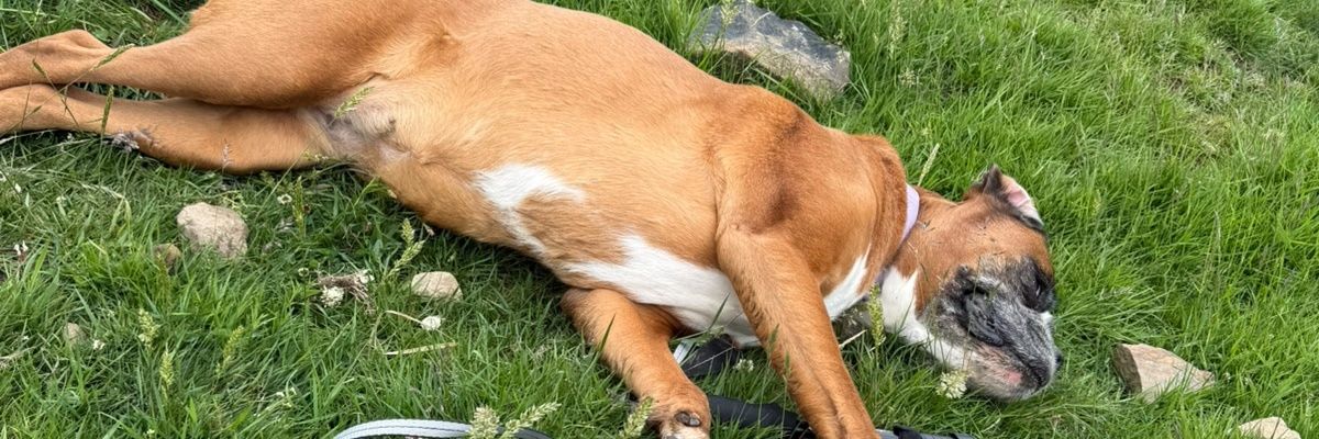 rob1471's profile banner image