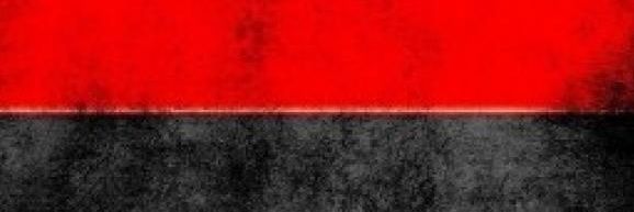 koorygun's profile banner image