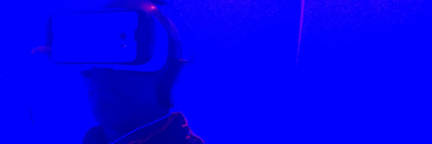 christianepps's profile banner image