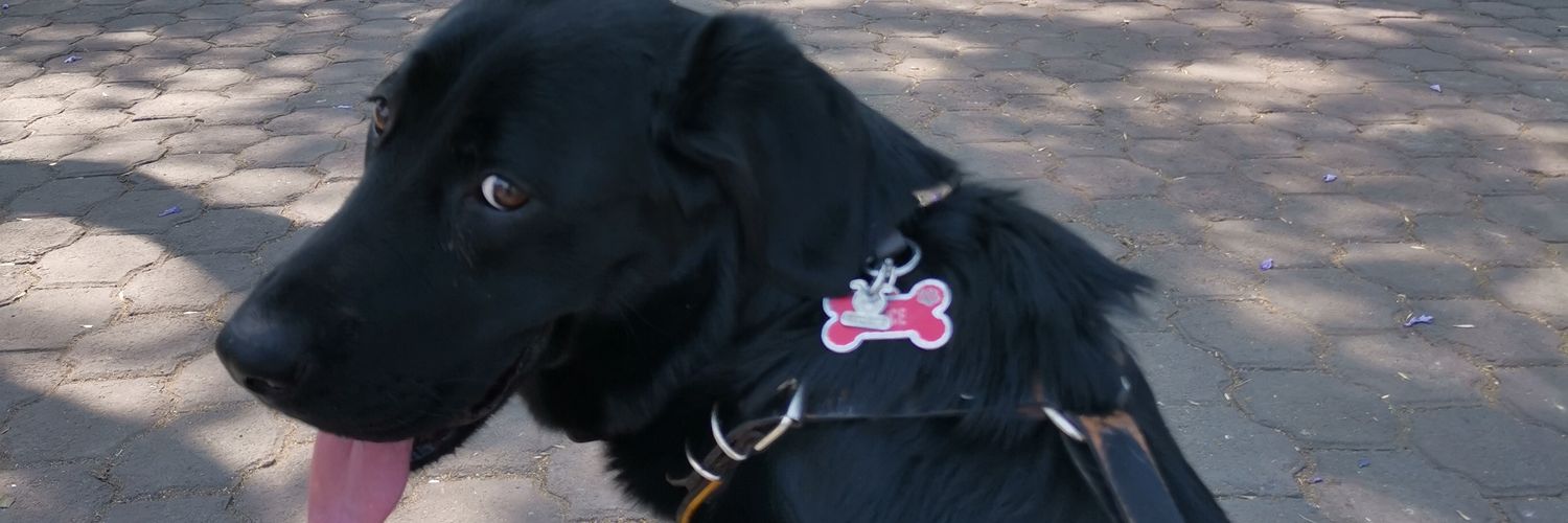 Osholis's profile banner image