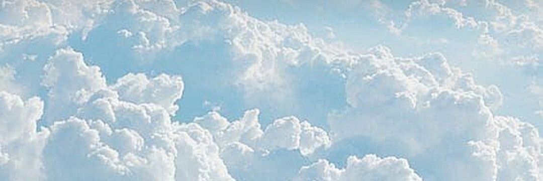 sonalia_h's profile banner image