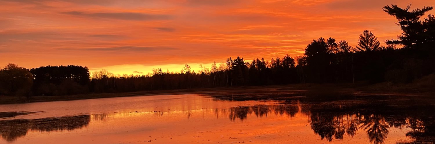 AliCarlson22's profile banner image