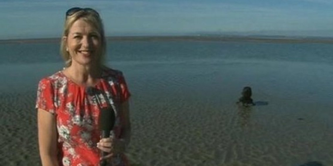 Gilly Robinson banner