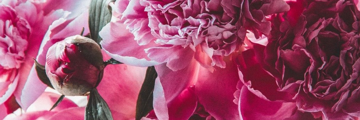 truttesbelles's profile banner image