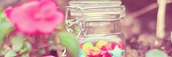 myweechickens Profile Banner