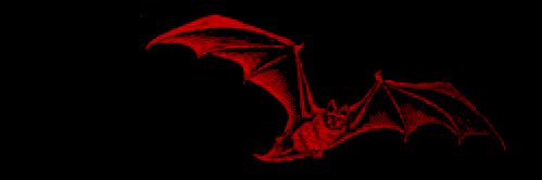 mementeri's profile banner image