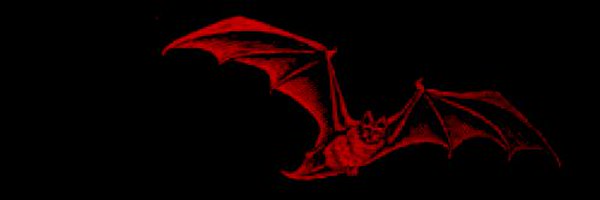 mementeri Profile Banner