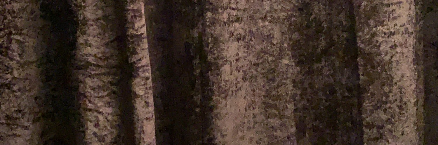 CiardhaO's profile banner image