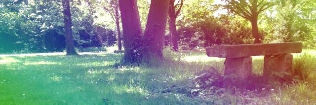 AlliRanta's profile banner image