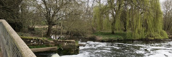 anishagarg5 Profile Banner