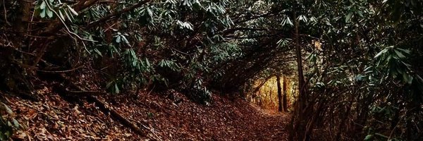 Chrisnugent06 Profile Banner