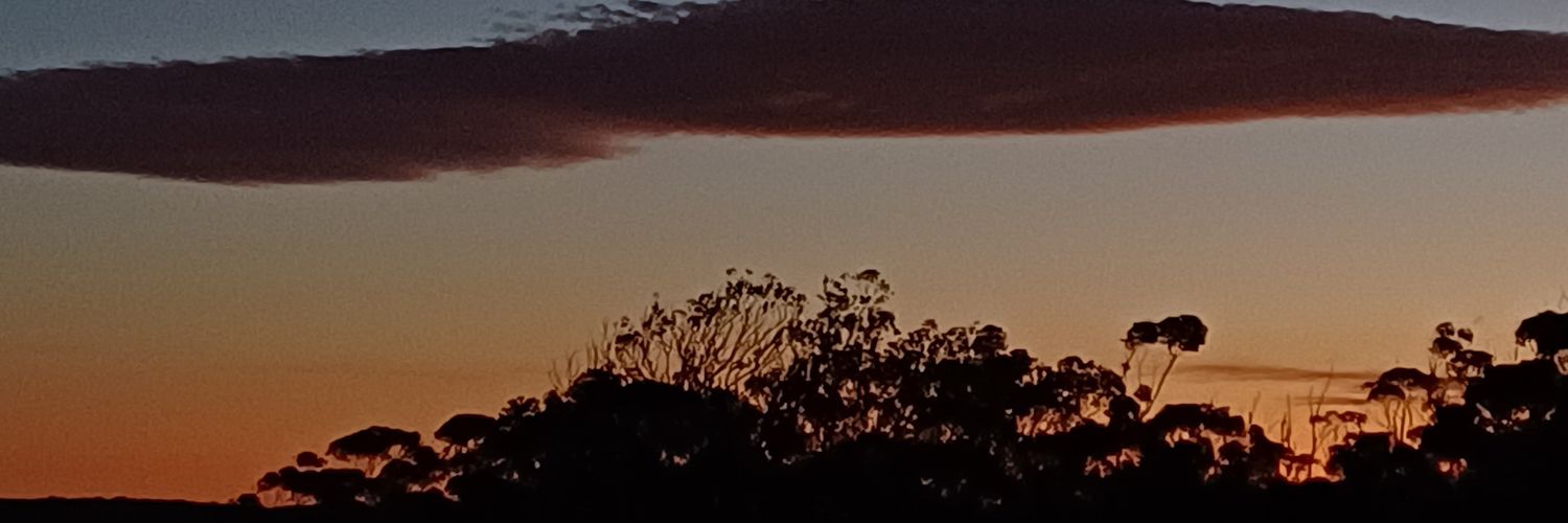 SSakieldien's profile banner image