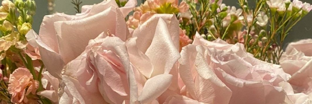 sylvia_bblabla's profile banner image