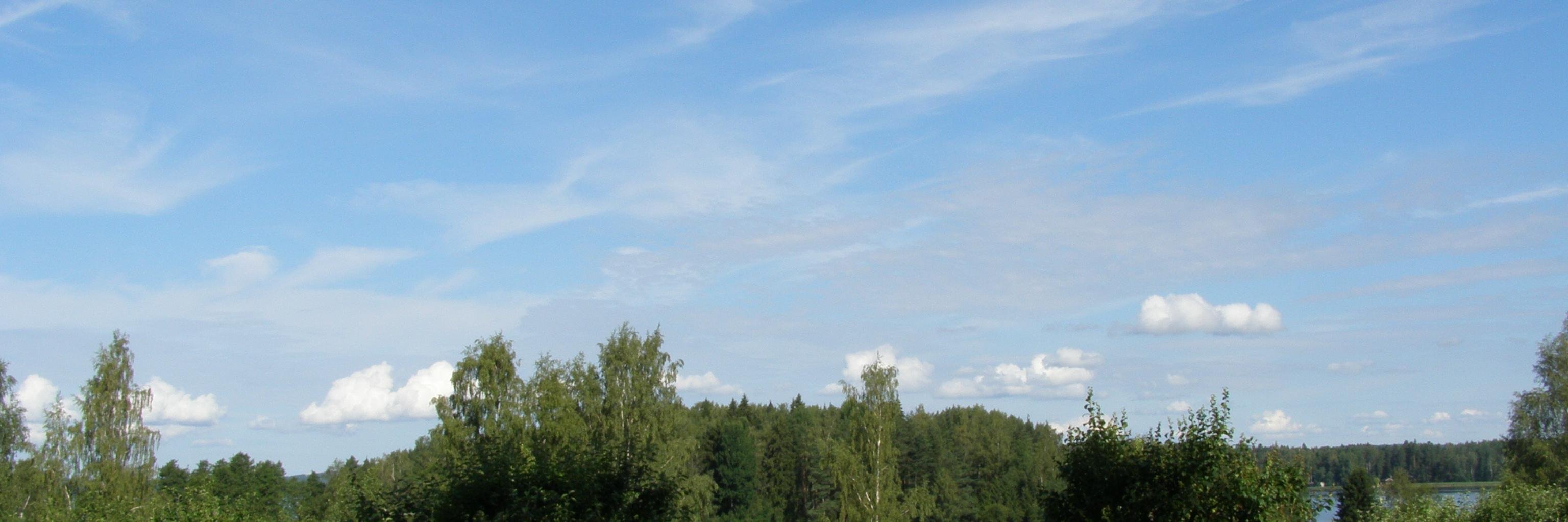 vestovuo's profile banner image