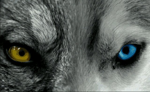 CrastinaterPro's profile banner image