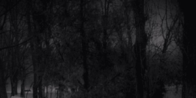 randomtweets005's profile banner image