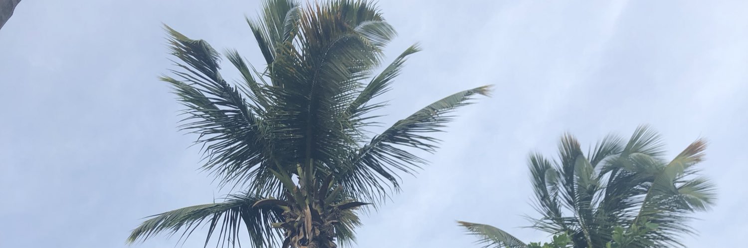 PaulineTaylorMu's profile banner image