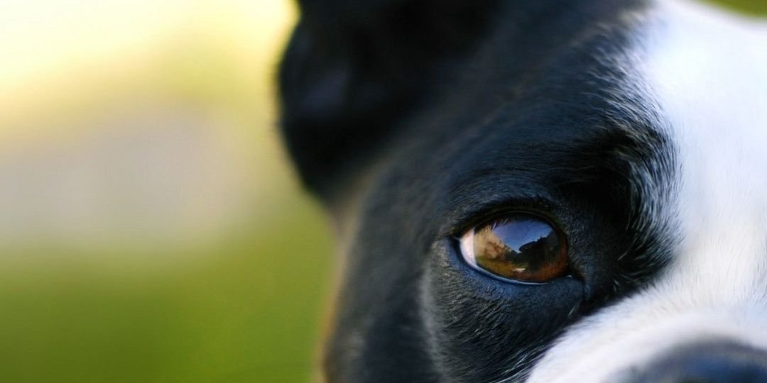 jsnzuak's profile banner image