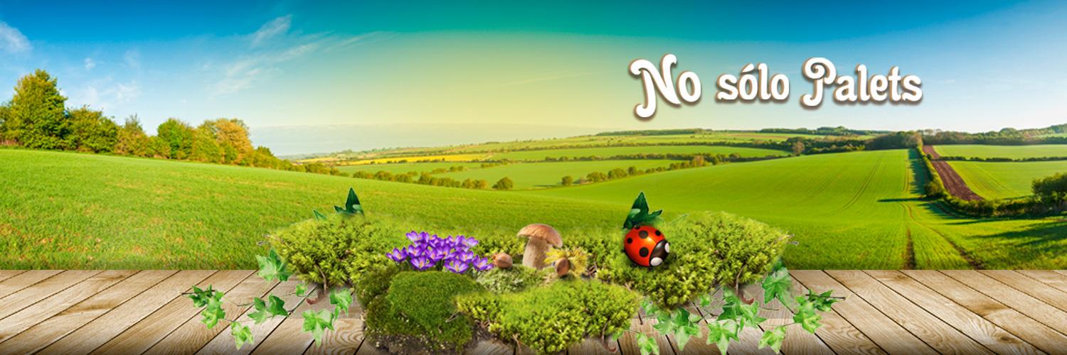 NoSoloPalets's profile banner image