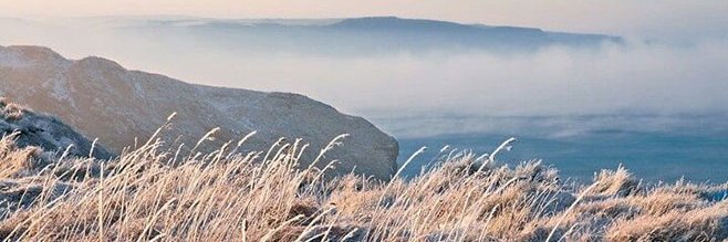Paramount Cornwall banner
