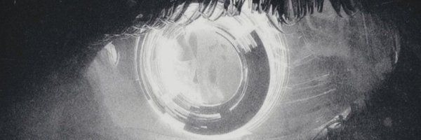 nik_algo Profile Banner