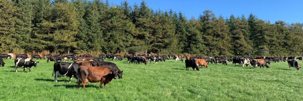tommurphy12345 Profile Banner