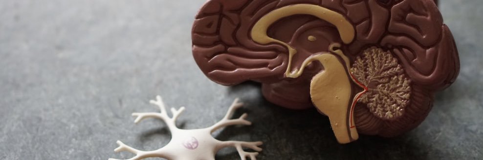 NCL Neuroscience banner