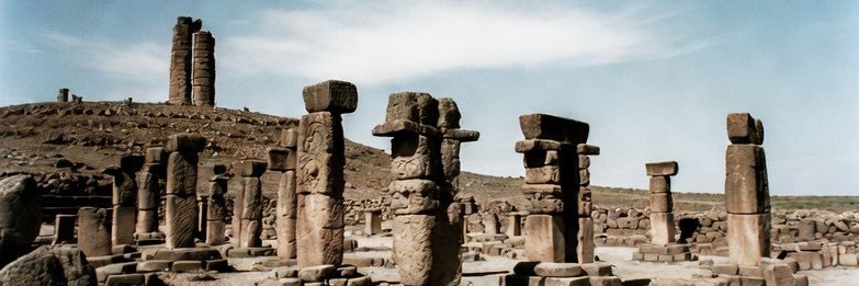 Markie Dennebaum banner