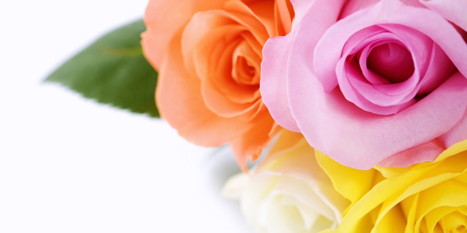 rieroko's profile banner image