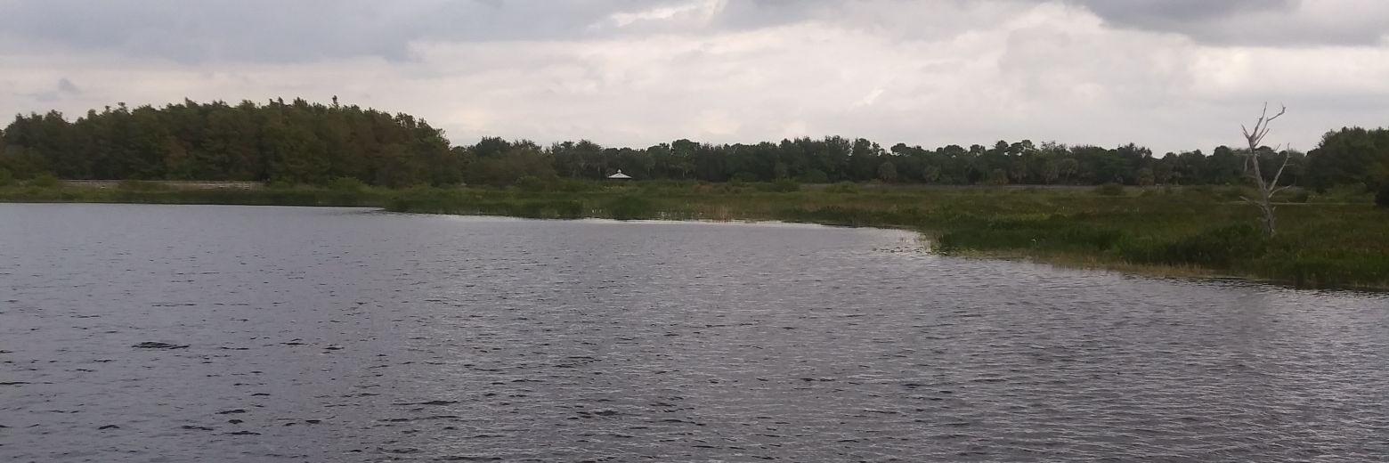 DIII Softballfan🇺🇸🇩🇪🍱 banner