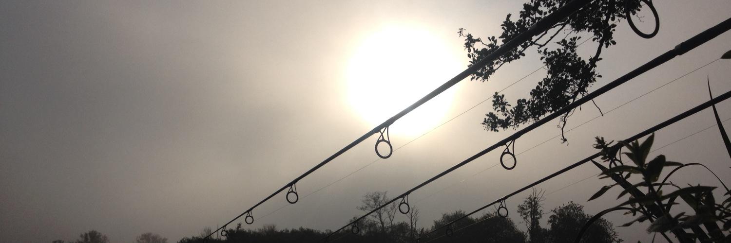 JasonMassay's profile banner image