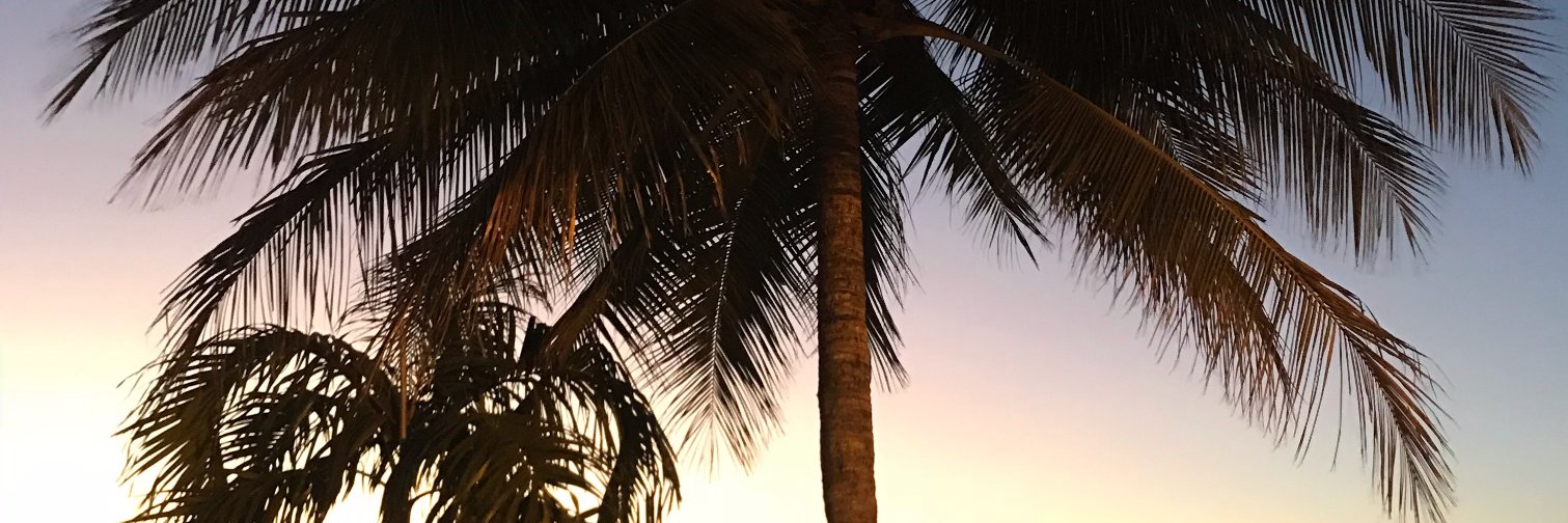 JacDeola's profile banner image