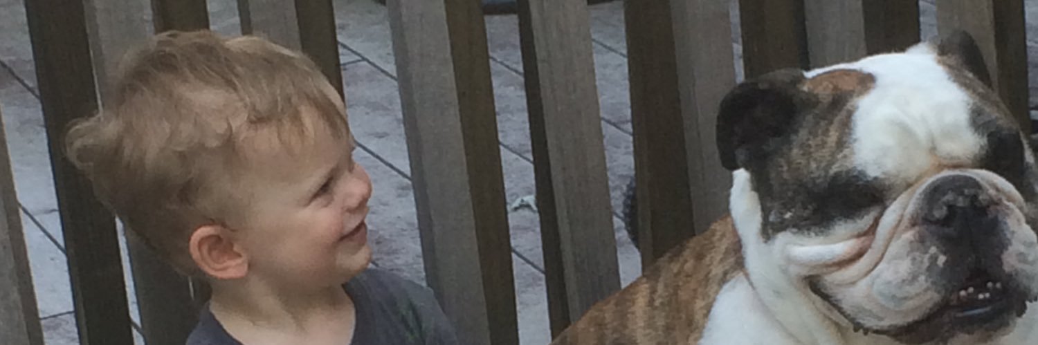 lyonbrian's profile banner image