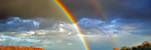 LGBTFed's profile banner image