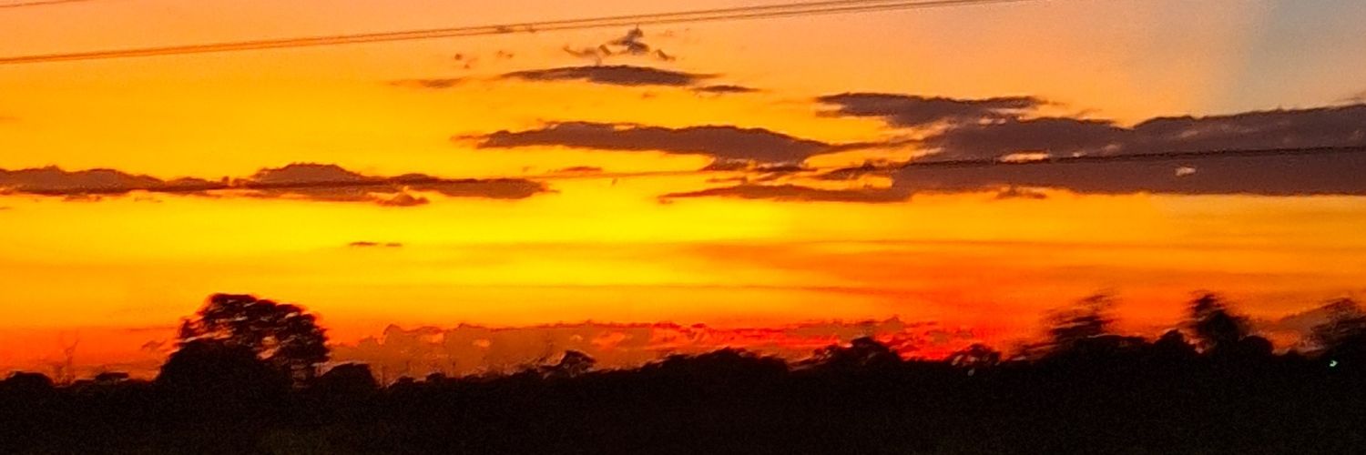 rogerzanni's profile banner image