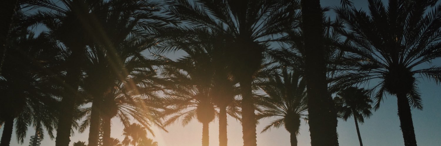 ash_galloway's profile banner image