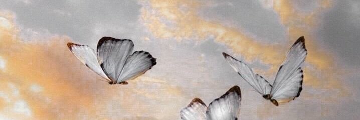 daniellemaxinne's profile banner image