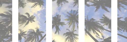 FedorRpg's profile banner image