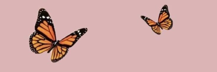 valebarki's profile banner image