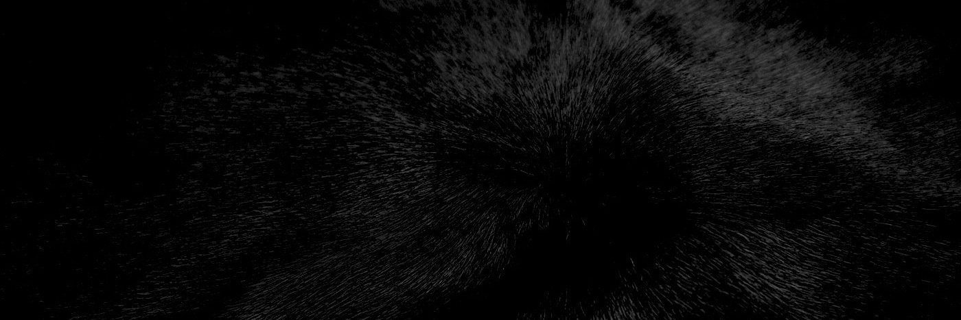 itsWeAre's profile banner image