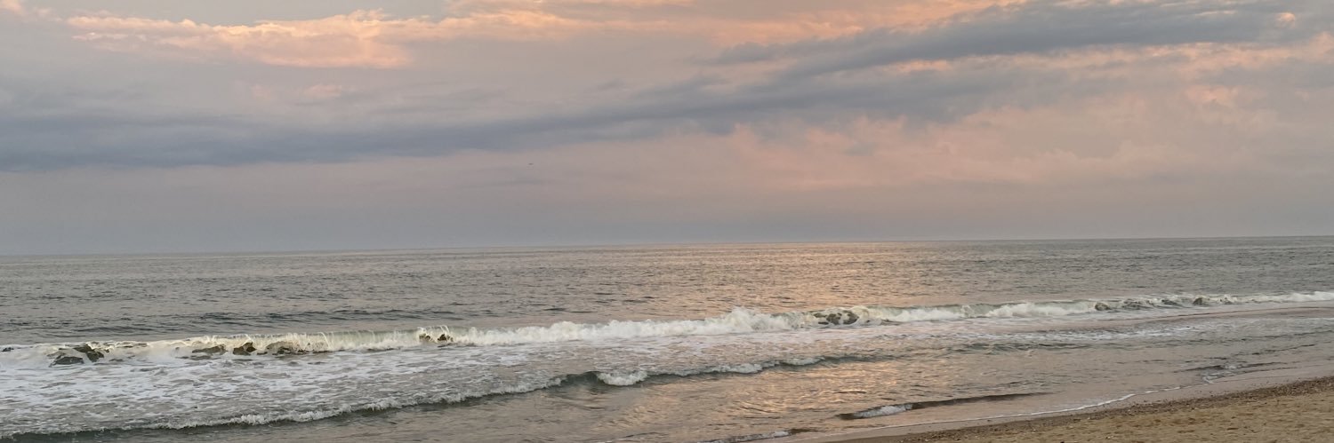 _allywilson's profile banner image